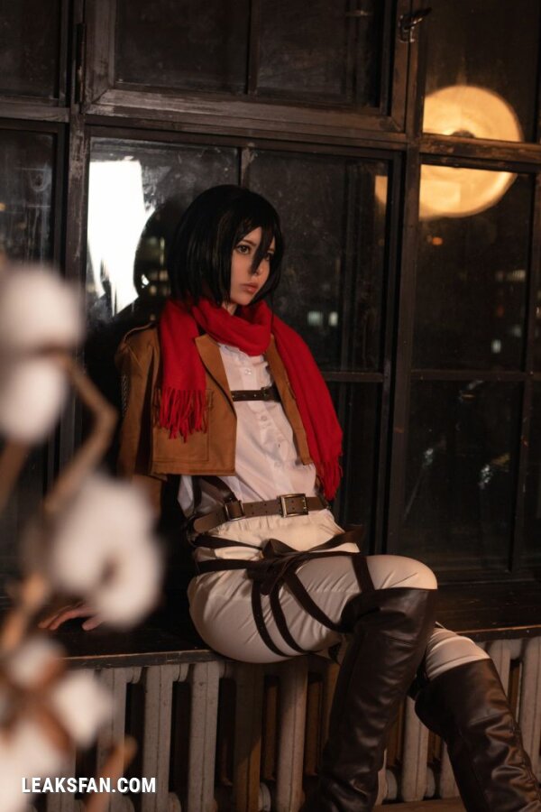 Vinnegal - Mikasa Ackerman (Shingeki No Kyojin) - 12