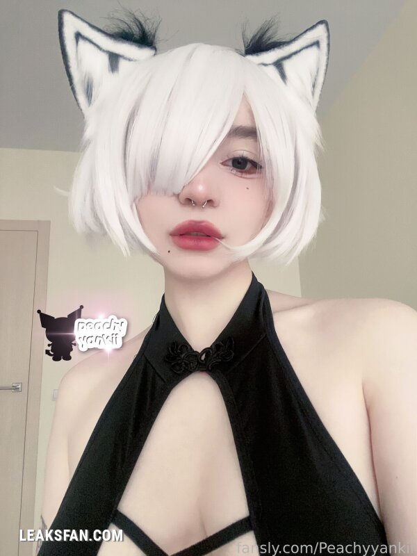 Peachyyankii - Kitty 2B - 0