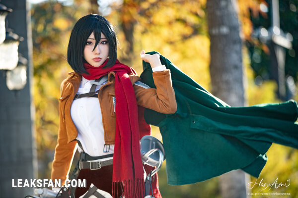 Hane Ame - Mikasa (Shingeki No Kyojin) - 18