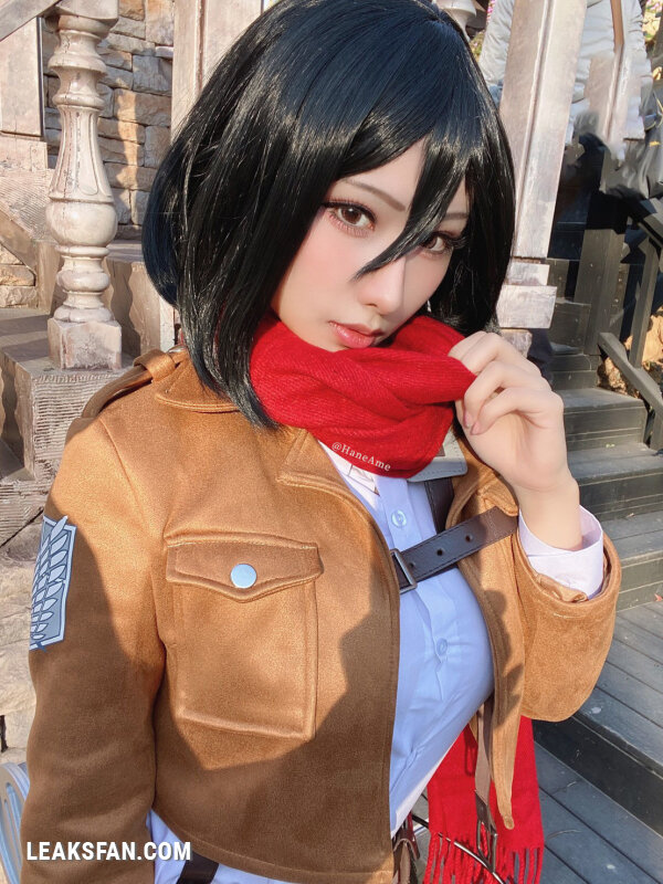 Hane Ame - Mikasa (Shingeki No Kyojin) - 1