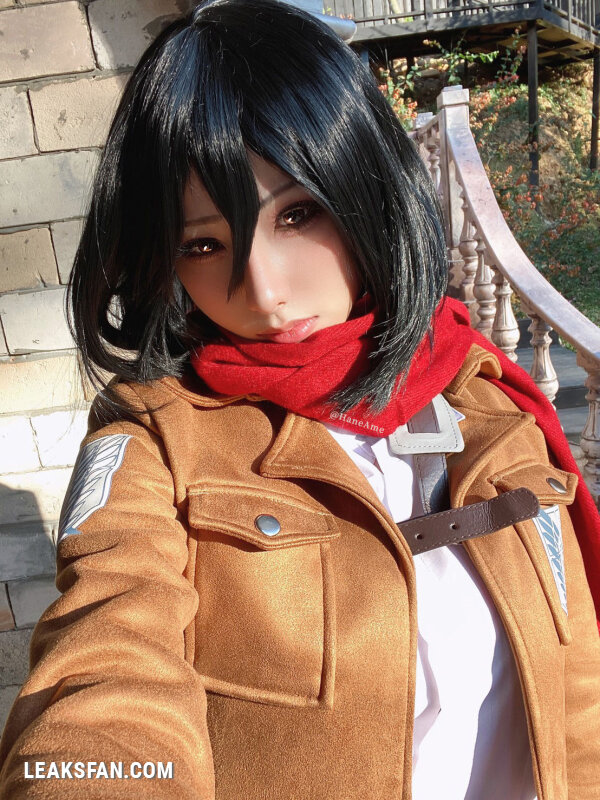 Hane Ame - Mikasa (Shingeki No Kyojin) - 45